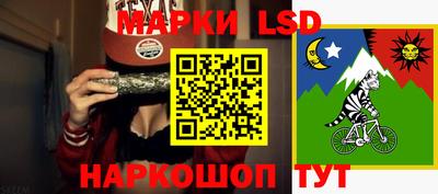 мет Кингисепп