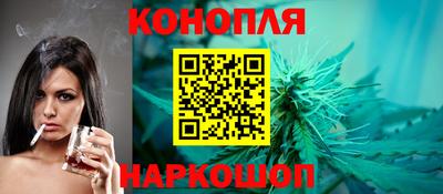 мет Кингисепп