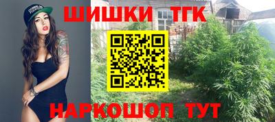 мет Кингисепп