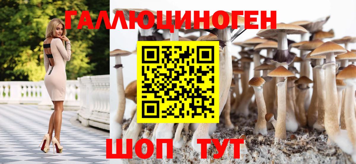 Псилоцибиновые грибы MAGIC MUSHROOMS Югорск