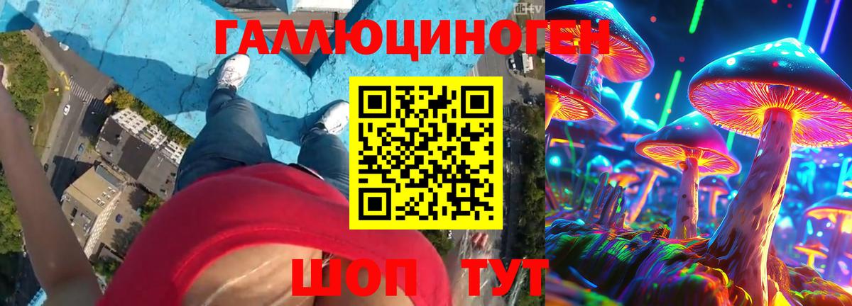 Югорск  Галлюциногенные грибы Psilocybine cubensis  Вход с VPN 